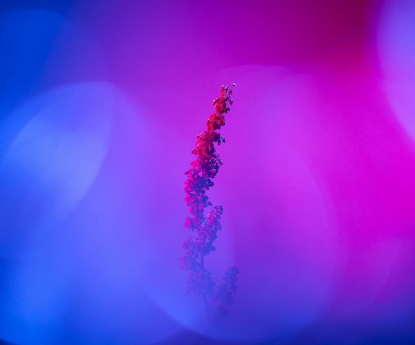 Abstract image representing airflow and tranquility, with light blue and purple colors.